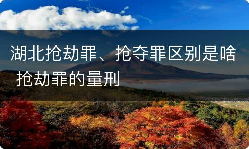 湖北抢劫罪、抢夺罪区别是啥 抢劫罪的量刑