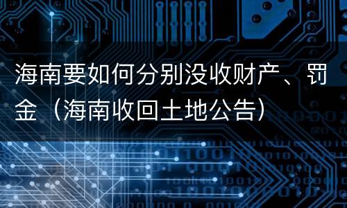 海南要如何分别没收财产、罚金（海南收回土地公告）