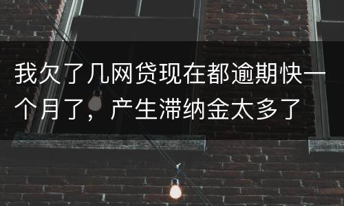 我欠了几网贷现在都逾期快一个月了，产生滞纳金太多了