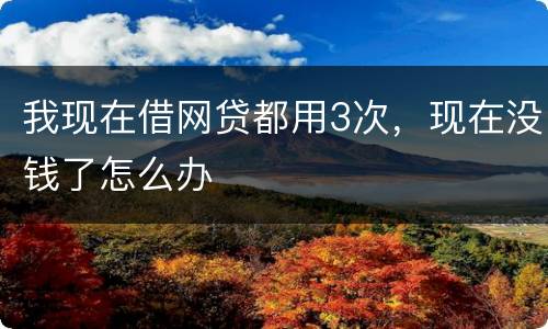 我现在借网贷都用3次，现在没钱了怎么办