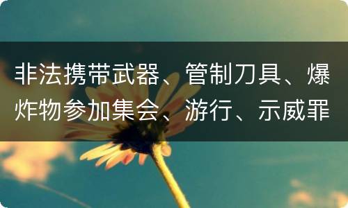 非法携带武器、管制刀具、爆炸物参加集会、游行、示威罪的主观要件是什么