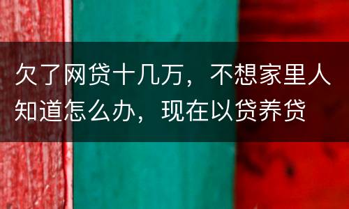 欠了网贷十几万，不想家里人知道怎么办，现在以贷养贷