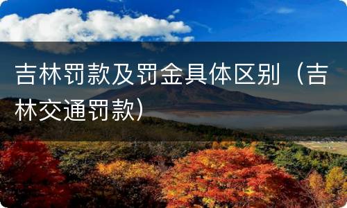 吉林罚款及罚金具体区别（吉林交通罚款）