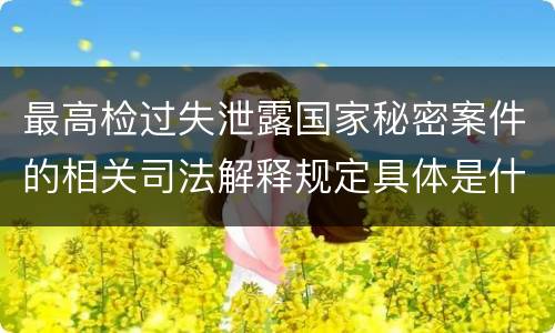 最高检过失泄露国家秘密案件的相关司法解释规定具体是什么主要内容