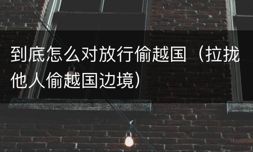 到底怎么对放行偷越国（拉拢他人偷越国边境）