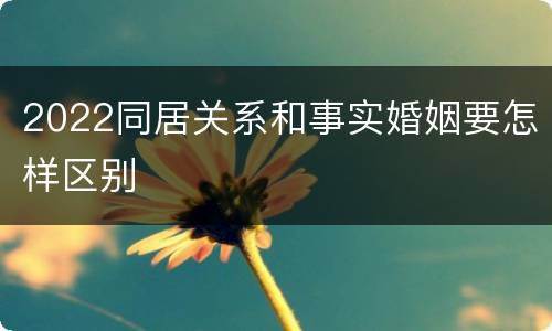 2022同居关系和事实婚姻要怎样区别