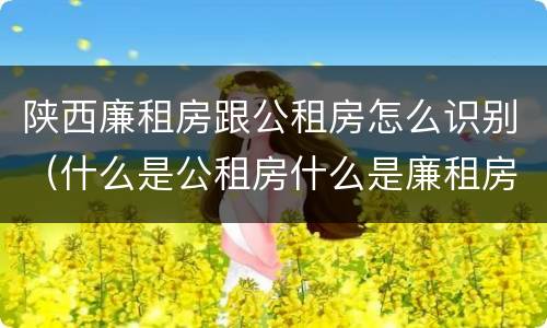 陕西廉租房跟公租房怎么识别（什么是公租房什么是廉租房）