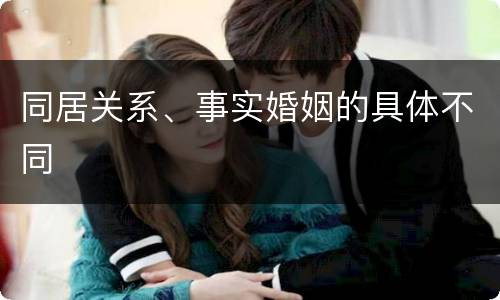 同居关系、事实婚姻的具体不同