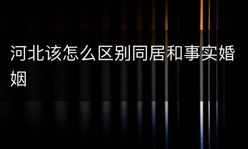 河北该怎么区别同居和事实婚姻