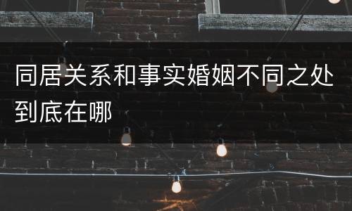 同居关系和事实婚姻不同之处到底在哪