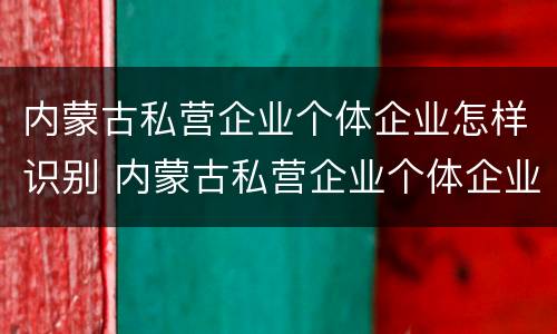 内蒙古私营企业个体企业怎样识别 内蒙古私营企业个体企业怎样识别真伪