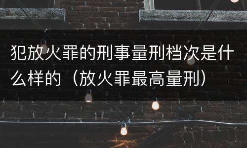 犯放火罪的刑事量刑档次是什么样的（放火罪最高量刑）
