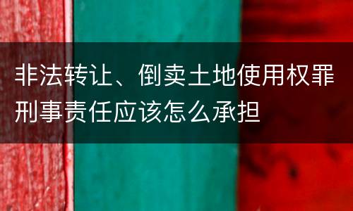 非法转让、倒卖土地使用权罪刑事责任应该怎么承担