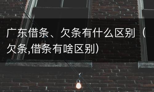 广东借条、欠条有什么区别（欠条,借条有啥区别）