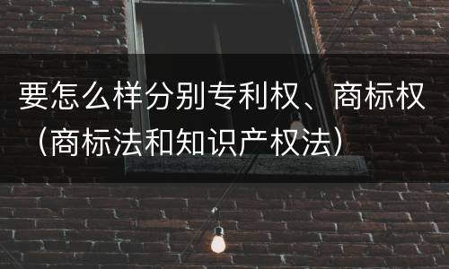 要怎么样分别专利权、商标权（商标法和知识产权法）