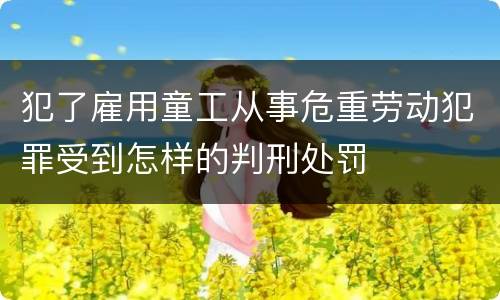 犯了雇用童工从事危重劳动犯罪受到怎样的判刑处罚