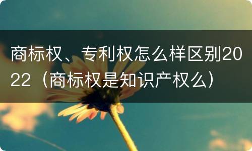 商标权、专利权怎么样区别2022（商标权是知识产权么）