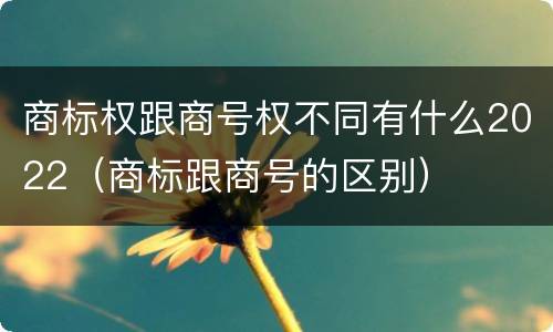商标权跟商号权不同有什么2022（商标跟商号的区别）