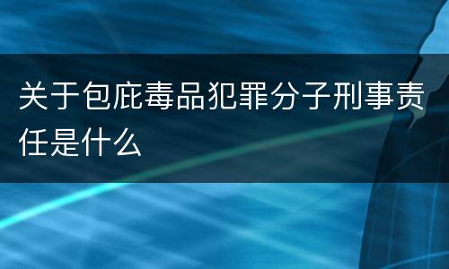 关于包庇毒品犯罪分子刑事责任是什么