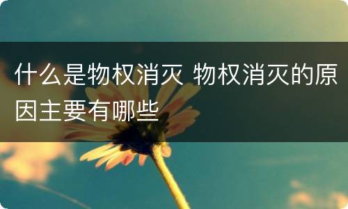 什么是物权消灭 物权消灭的原因主要有哪些