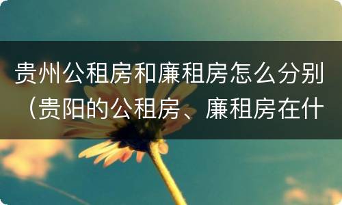 贵州公租房和廉租房怎么分别（贵阳的公租房、廉租房在什么地方?）