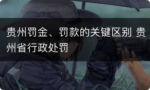 贵州罚金、罚款的关键区别 贵州省行政处罚