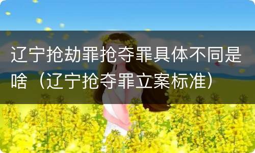 辽宁抢劫罪抢夺罪具体不同是啥（辽宁抢夺罪立案标准）