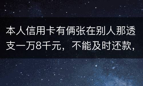 本人信用卡有俩张在别人那透支一万8千元，不能及时还款，能起诉吗