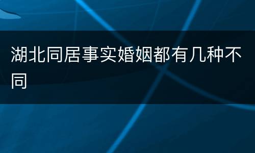 湖北同居事实婚姻都有几种不同