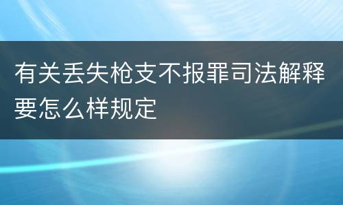 有关丢失枪支不报罪司法解释要怎么样规定