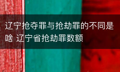 辽宁抢夺罪与抢劫罪的不同是啥 辽宁省抢劫罪数额
