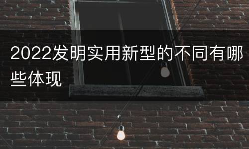 2022发明实用新型的不同有哪些体现