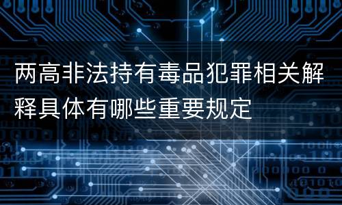 两高非法持有毒品犯罪相关解释具体有哪些重要规定