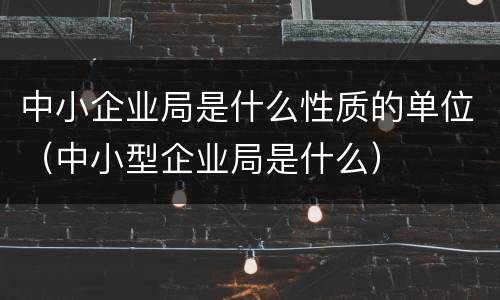 中小企业局是什么性质的单位（中小型企业局是什么）