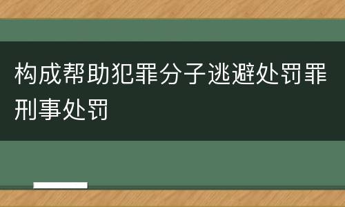 构成帮助犯罪分子逃避处罚罪刑事处罚