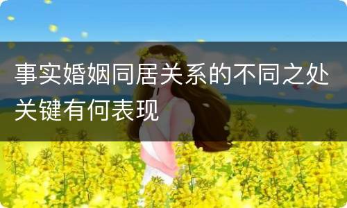 事实婚姻同居关系的不同之处关键有何表现