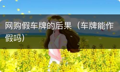 网购假车牌的后果（车牌能作假吗）