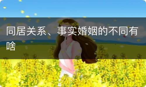 同居关系、事实婚姻的不同有啥