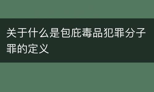 关于什么是包庇毒品犯罪分子罪的定义
