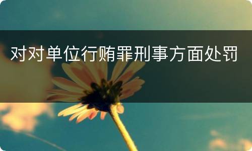 对对单位行贿罪刑事方面处罚