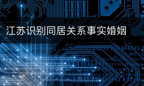 江苏识别同居关系事实婚姻