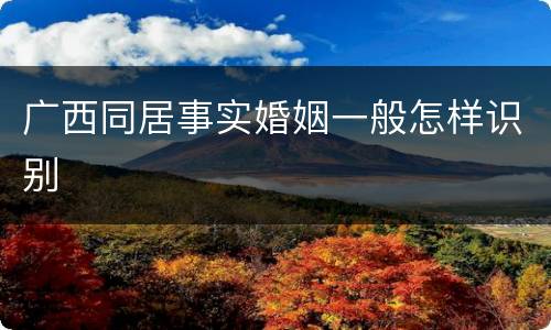 广西同居事实婚姻一般怎样识别