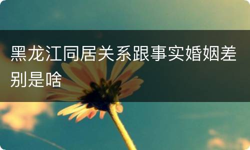 黑龙江同居关系跟事实婚姻差别是啥