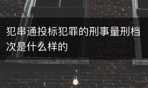 犯串通投标犯罪的刑事量刑档次是什么样的
