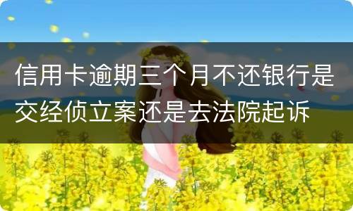 信用卡逾期三个月不还银行是交经侦立案还是去法院起诉