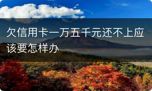 欠信用卡一万五千元还不上应该要怎样办