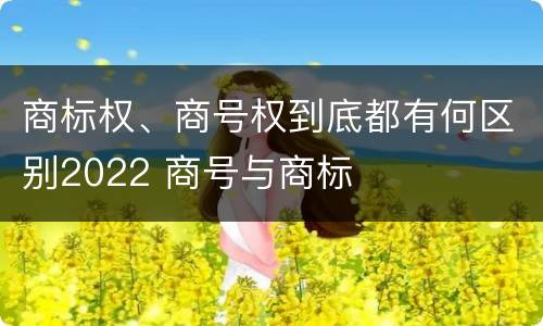 商标权、商号权到底都有何区别2022 商号与商标