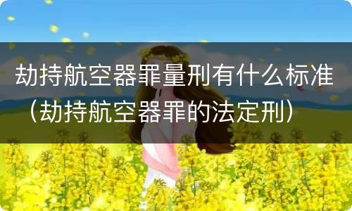 劫持航空器罪量刑有什么标准（劫持航空器罪的法定刑）