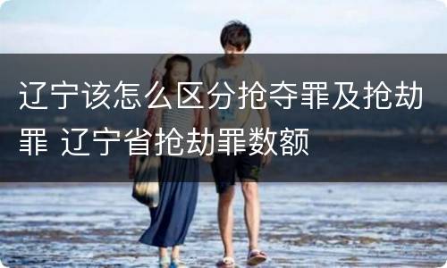 辽宁该怎么区分抢夺罪及抢劫罪 辽宁省抢劫罪数额
