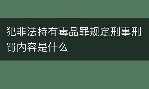 犯非法持有毒品罪规定刑事刑罚内容是什么